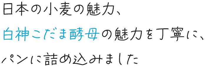 日本の小麦の魅力、白神こだま酵母の魅力を丁寧に、パンに詰め込みました